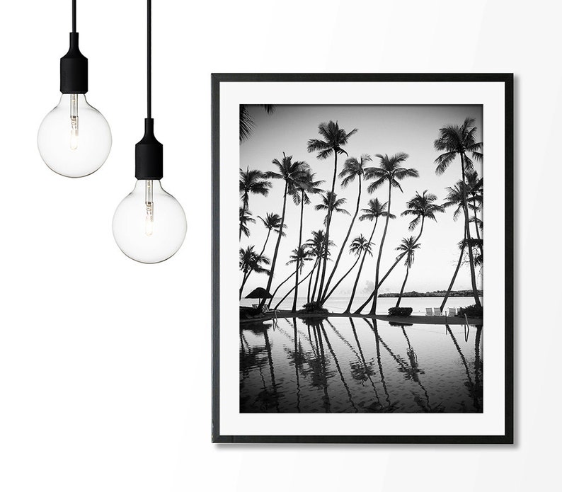 Monochrome Photography, Palm Trees Print, Tropical Print, Ocean Print, Palm Decor, Coastal Art, Beach Wall Art, B & W, Beach Print, 120 image 2