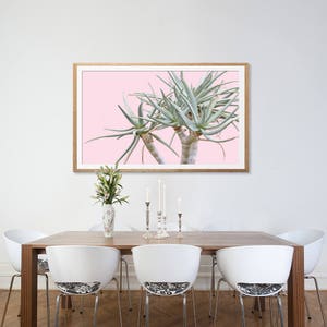 May include: A framed print of a close-up of a green succulent plant against a pink background. The print is hanging on a white wall above a wooden dining table with white chairs.