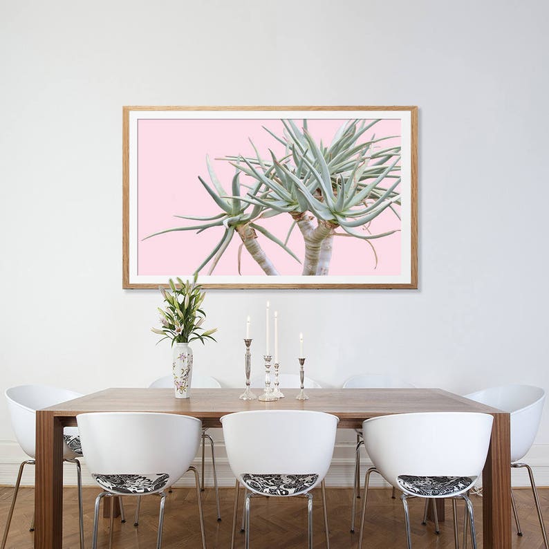 May include: A framed print of a close-up of a green succulent plant against a pink background. The print is hanging on a white wall above a wooden dining table with white chairs.