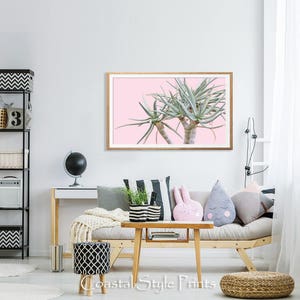 May include: A framed print of a green succulent plant against a pink background. The print is hanging on a white wall in a living room setting.