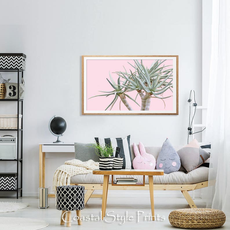 May include: A framed print of a green succulent plant against a pink background. The print is hanging on a white wall in a living room setting.