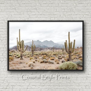 Desert Wall Art, Desert Decor,Desert Photography,Cactus Wall Art,Southwestern Decor,Landscape Prints Wall Art,Boho Decor,Desert Cactus Print image 2