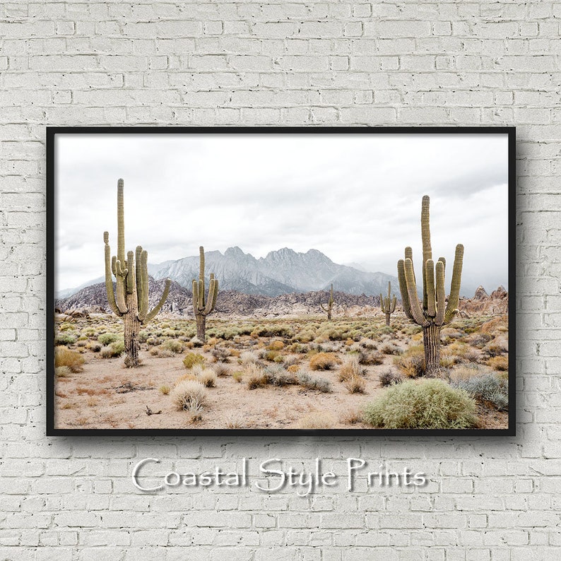Desert Wall Art, Desert Decor,Desert Photography,Cactus Wall Art,Southwestern Decor,Landscape Prints Wall Art,Boho Decor,Desert Cactus Print image 2