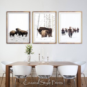 May include: Three framed prints of bison in a snowy forest setting. The prints feature a group of bison standing together, a mother and calf bison walking, and a herd of bison running through the snow.