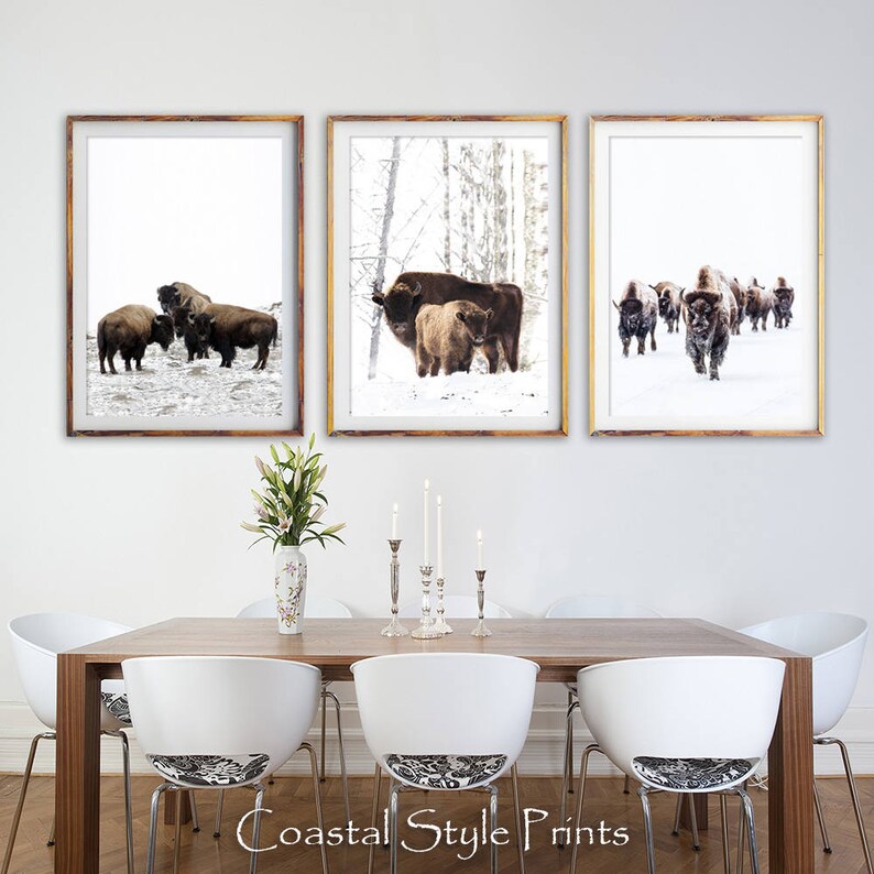 May include: Three framed prints of bison in a snowy forest setting. The prints feature a group of bison standing together, a mother and calf bison walking, and a herd of bison running through the snow.