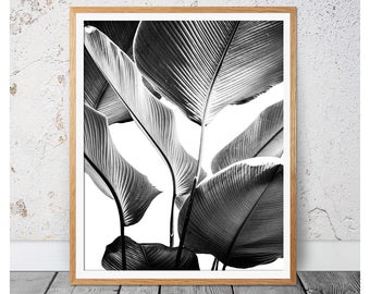 Banana Leaf Print - Etsy