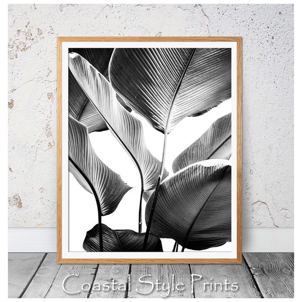 Banana Leaf Print, Black and White, Banana Leaves Photography, Print, Botanical Print, Wall Art, Poster, Prints, Photo, Leaf Photography,141