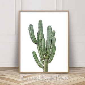 Modern Wall Art,Cactus Print,Printable Home Decor,Cactus Wall Art,Desert Print,Boho Print,Bohemian,Cali,Botanical Wall Art,Cactus Wall Decor