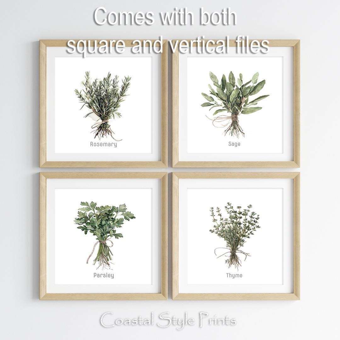 botanical herb prints set of 4 unframed botanical herb... Kitchen Herbs Wall Art Set of 4 Prints, Garden Herbs Prints, Square ...