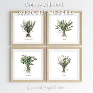 May include: Four framed botanical prints featuring watercolor illustrations of herbs: rosemary, sage, parsley, and thyme. Each print is labeled with the herb's name and comes with both square and vertical files. The prints are from Coastal Style Prints.