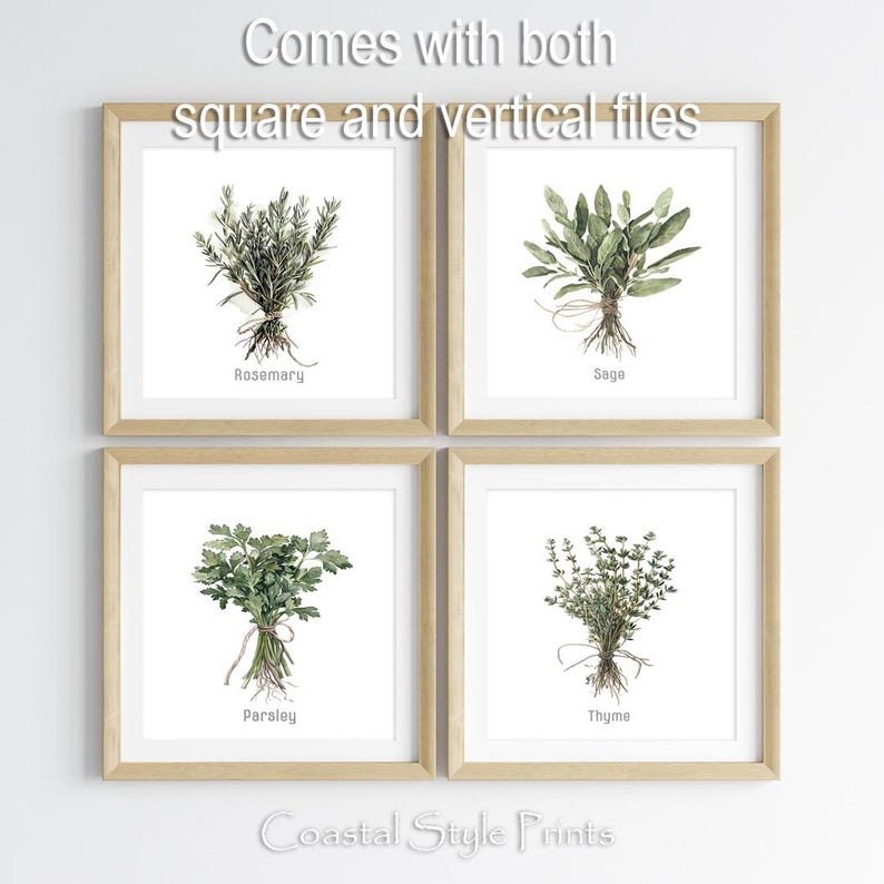 Set Of 4 kitchen herbs vintage watercolor paintings. digital downloads