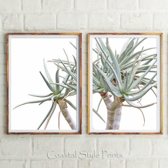 Succulent Print Wall Decor Cactus Botanical Image 0