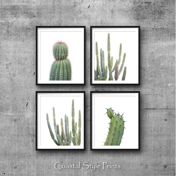Cactus Print Set of 4 Succulent Prints, Botanical Print Set, Cactus Photography, Green Gallery Wall Art, Cactus Wall Decor, Cactus Prints