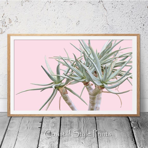Pink Desert Art, Botanical Print, Scandi Wall Art, Succulent Photography, Contemporary Print, Desert Prints, Botanical Art, Cactus Print