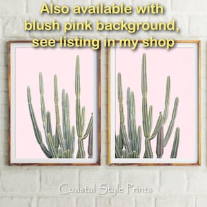May include: Two framed prints of a group of cactus plants on a blush pink background. The text "Also available with blush pink background, see listing in my shop" is above the prints. The text "Coastal Style Prints" is below the prints.