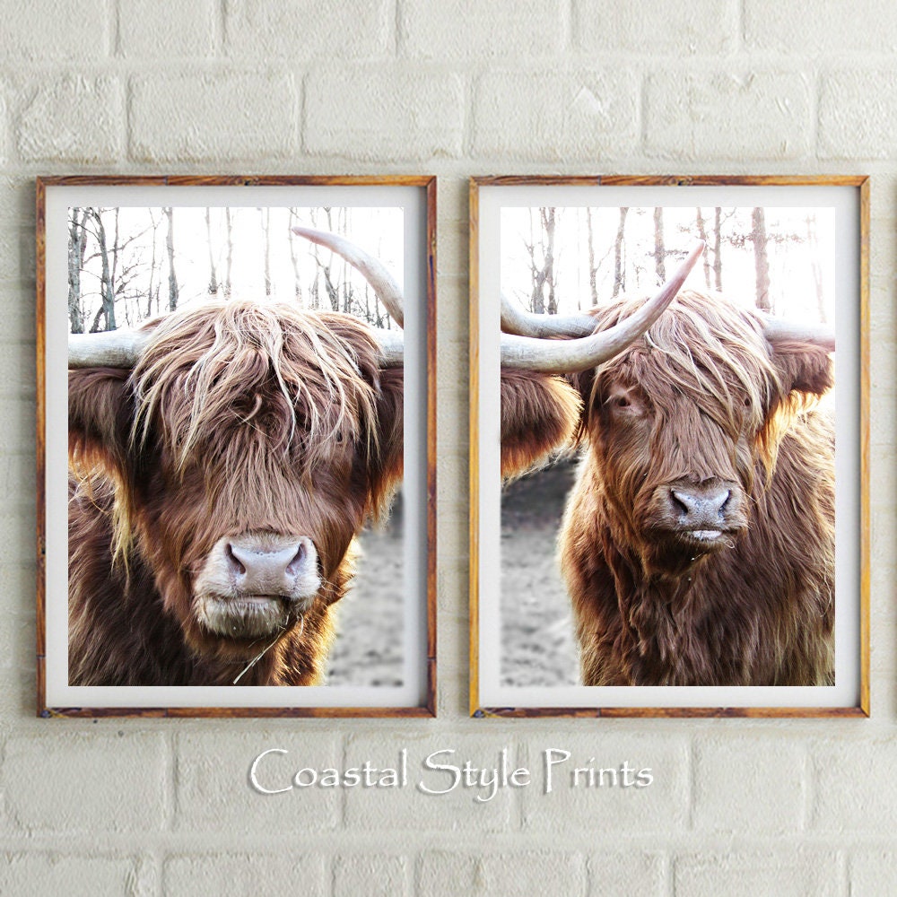 Set of 2 Highland Cow Printsprintable Artbuffalo Wall | Etsy