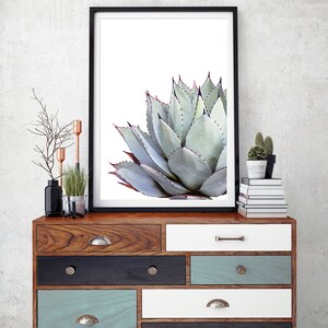 Cactus Print, Cactus Wall Art, Succulent Print, Cactus Wall Decor, Botanical Print,Cactus Art,Coastal Poster,Agave Print,Cactus Photography image 2