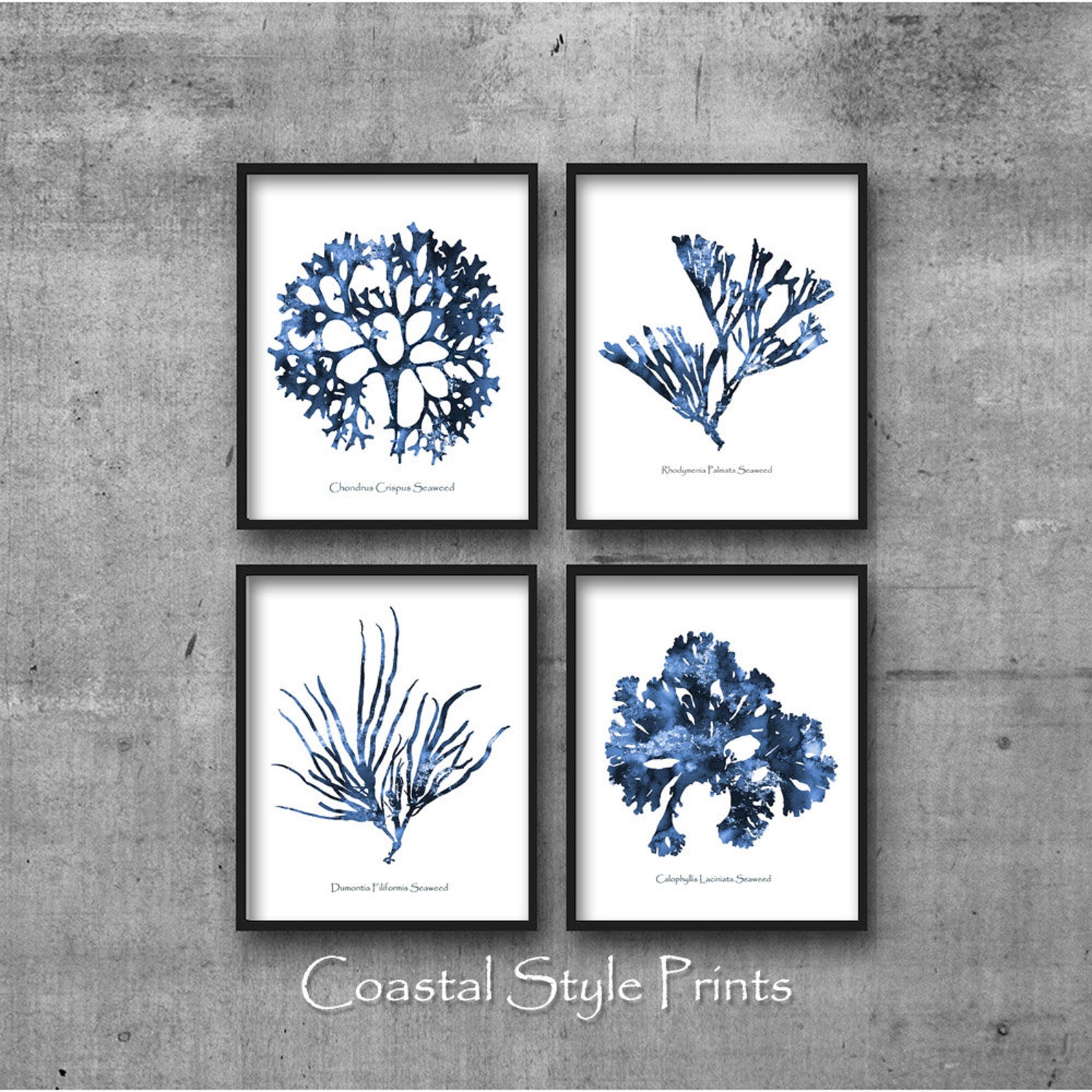 Hamptons Wall Art Set of 4 Prints Coral Print Sea Coral Etsy Australia