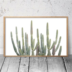 Kaktus Druck, Kaktus Wand Kunst,Drucke,Wüstenkaktus,Wanddekor,Saguaro Kaktus,Kaktus Poster,großes druckbares Poster,digitaler Download,Australien