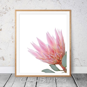 Protea Flower, Printable Wall Art, Printable Art, Bedroom Print, Pink Decor,Blush Pink Print,Protea Wall Art,Protea Poster,Floral Wall Art