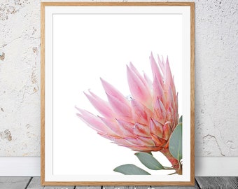 Protea Flower, Printable Wall Art, Printable Art, Bedroom Print, Pink Decor,Blush Pink Print,Protea Wall Art,Protea Poster,Floral Wall Art