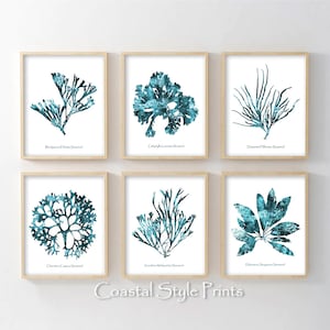 Teal Blue Gallery Wall, Coastal Gallery Wall, Hamptons Print, Set Of 6 Turquoise Prints, Printable Wall Art, Beach Print, Aqua Coral Prints
