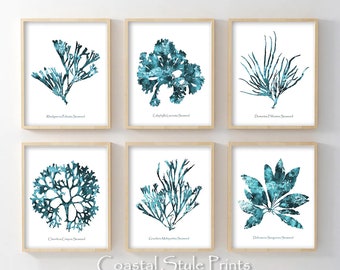 Teal Blue Gallery Wall, Coastal Gallery Wall, Hamptons Print, Set Of 6 Turquoise Prints, Printable Wall Art, Beach Print, Aqua Coral Prints