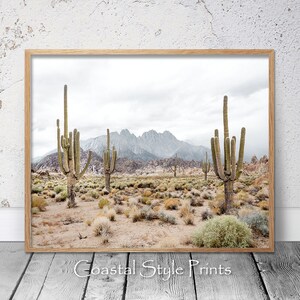 May include: A desert landscape with tall cacti in the foreground and a mountain range in the background. The sky is cloudy and the ground is sandy.