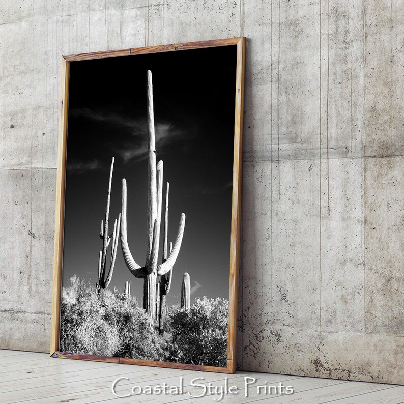 Saguaro Cactus Print, Black and White Print, Desert Wall Decor Printable Desert Art, Cactus Wall Art, Desert Decor, Australia, BW Poster image 2