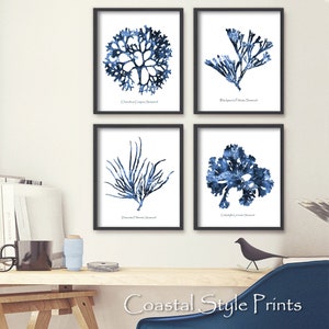 Coastal Wall Art Set Of 4 Prints, Coral Print, Coastal Print Set, Beach Print, Hamptons Wall Art, Nautical Print Set, Digital Art #115bC