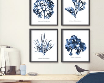 Coastal Wall Art Set Of 4 Prints, Coral Print, Coastal Print Set, Beach Print, Hamptons Wall Art, Nautical Print Set, Digital Art #115bC