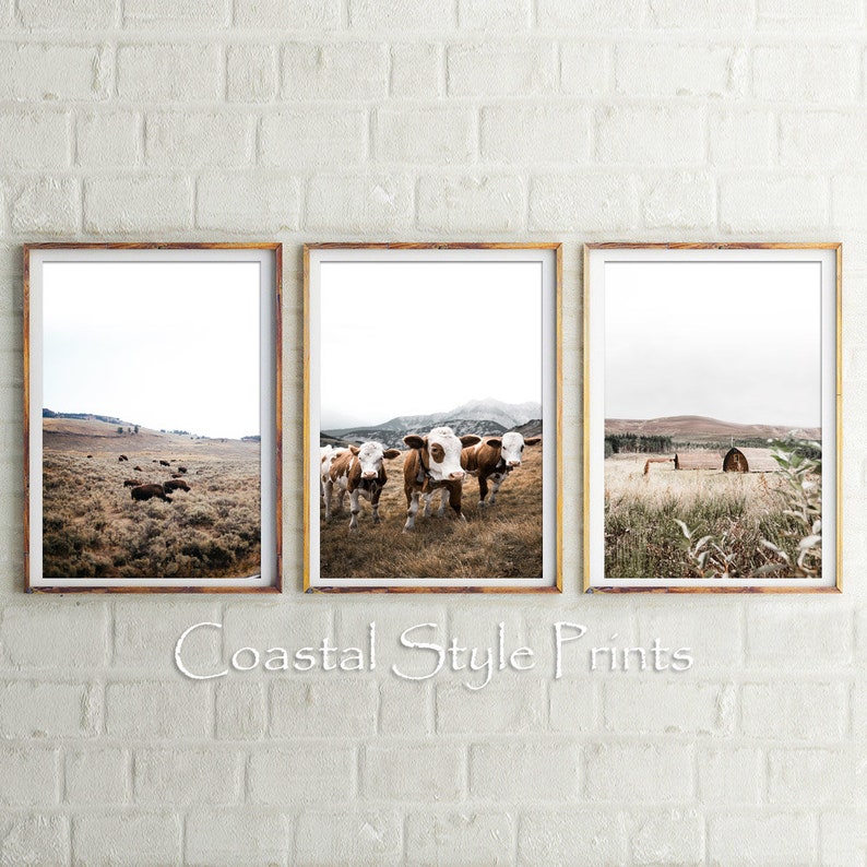 Farmhouse Print Farm Wall Art Farmhouse Wall Decor Landscape Set Farm Print Set Of 3 Prints Country Life Print Set Country Wall Art Art Collectibles Photography Deshpandefoundationindia Org