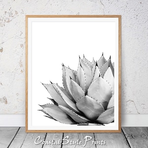 Kaktus Druck Schwarzweiß,Sukkulenten Druck,Kaktus Druck,Kaktus,Botanischer Druck,Kaktus Wandkunst, Poster, Drucke, Kaktus Fotografie, Australien