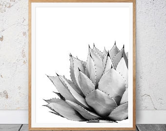 Impression cactus noir et blanc, impression succulente, impression cactus, cactus, impression botanique, art mural cactus, affiche, estampes, photographie de cactus, Australie