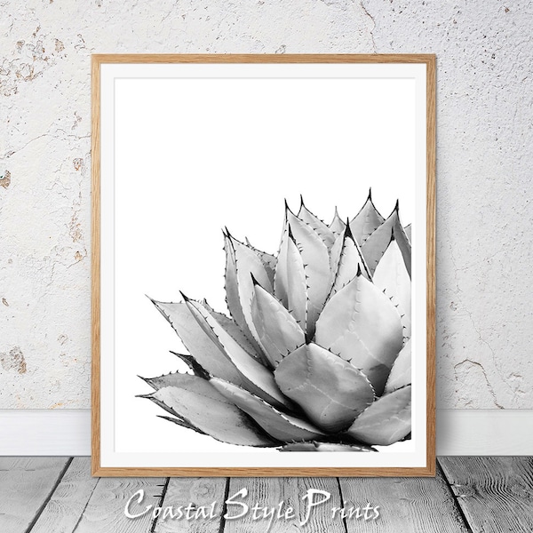 Cactus Print Black and White,Succulent Print,Cacti Print,Cactus,Botanical Print,Cactus Wall Art,Poster,Prints,Cactus Photography,Australia