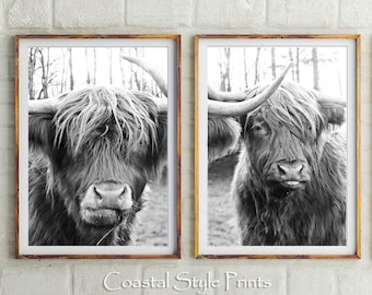 Highland Cow Prints Set, Digital Download,Animal Print, Bison Wall Art,Highland Cow Print, Set Of 2,Black and White Poster,Modern Wall Decor
