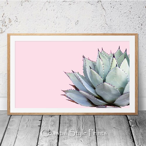 Landscape Cactus Print Pink Background Cactus Blush Pink Etsy