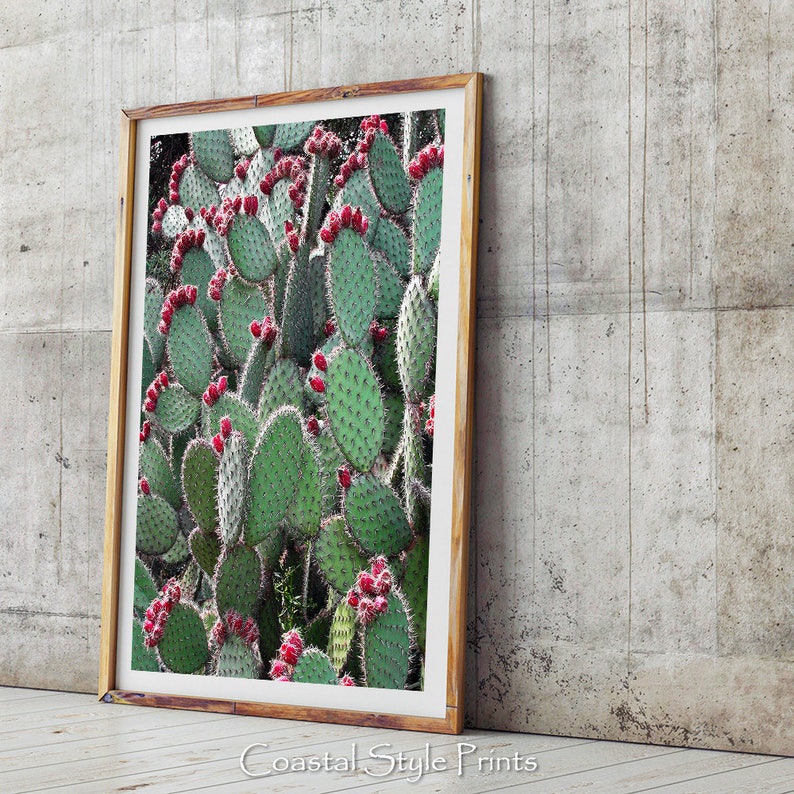 Prickly Pear Cactus, Green Wall Art, Colorful Art Print, Digital Print, Cactus Photography, Cactus Print, Red Green Art, Cactus Wall Decor image 4