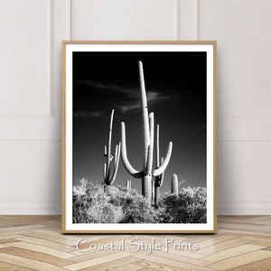 Saguaro Cactus Print, Black and White Print, Desert Wall Decor Printable Desert Art, Cactus Wall Art, Desert Decor, Australia, BW Poster image 1