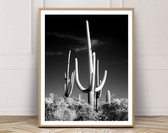 Saguaro Cactus Print, Black and White Print, Desert Wall Decor Printable Desert Art, Cactus Wall Art, Desert Decor, Australia, B & W Poster