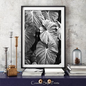 Elephants Ear Leaves Print, Monstera Leaf Print, Black and White Photography, Tropical Print, Bkack White Botanical Print, Modern Wall Art image 1