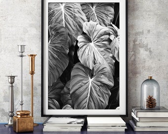 Elephants Ear Leaves Print, Monstera Leaf Print, Black and White Photography, Tropical Print, Bkack White Botanical Print, Modern Wall Art
