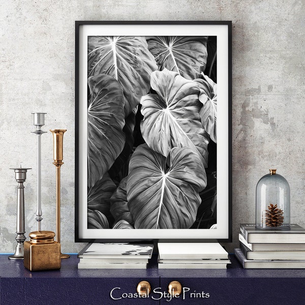 Elephants Ear Leaves Print, Monstera Leaf Print, Black and White Photography, Tropical Print, Bkack White Botanical Print, Modern Wall Art