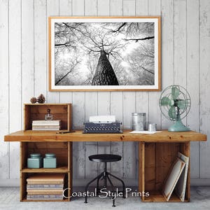 Winter Trees Print, Landscape Print, Digital Download, Black and White Photography, Panorama Art Print, Office Wall Art, Prints, Trees, Fall image 5