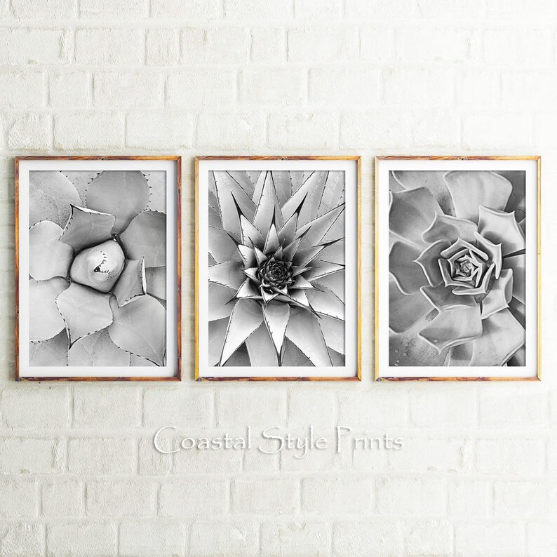 Black and White Cactus Prints, Set Of 3 Prints, Cacti, Succulent Print, Botanical Photo, Cactus Print, Wall Art, Cactus, Scandi, Australia 