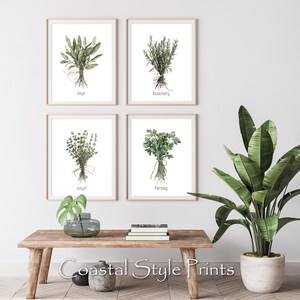 May include: Four framed botanical prints featuring watercolor illustrations of herbs: sage, rosemary, thyme, and parsley. Each print displays the herb's name below the image. The prints are displayed above a wooden table with a plant.