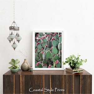 Prickly Pear Cactus, Green Wall Art, Colorful Art Print, Digital Print, Cactus Photography, Cactus Print, Red Green Art, Cactus Wall Decor image 3