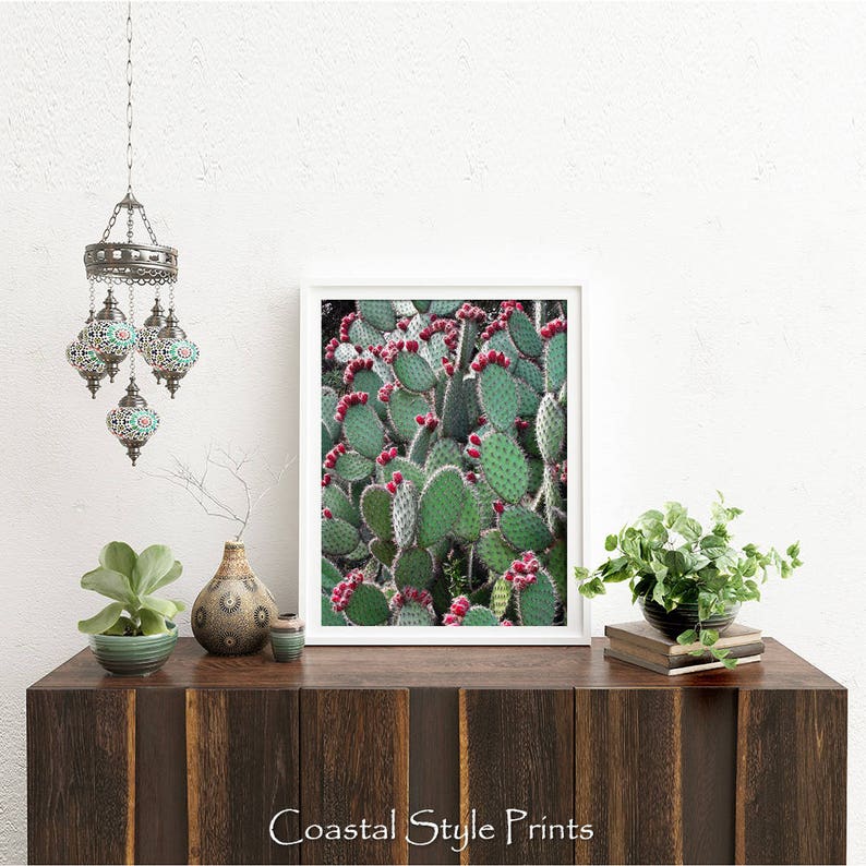 Prickly Pear Cactus, Green Wall Art, Colorful Art Print, Digital Print, Cactus Photography, Cactus Print, Red Green Art, Cactus Wall Decor image 3