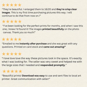 May include: Five-star reviews for a digital art print seller. The reviews highlight the quality of the prints, the ease of use of the download process, and the seller's responsiveness. The text includes phrases like "crisp clear images", "printed beautifully", "instantly after purchase", "came out amazing", "responded promptly", and "download was easy".