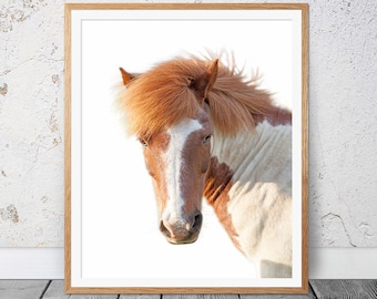 Horse Photography, Girl's Bedroom Art, Horse Portrait, Digital Pony Art, Horse Print, Kids Room Print, Teen Print, Ginger Horse Art